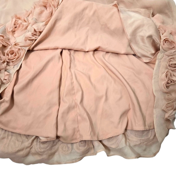 Talbots Blush A-Line Silk Skirt with Rosette Details - Picture 9 of 10